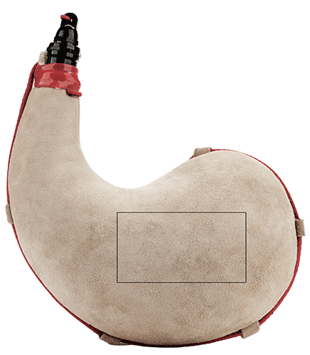bota de vino personalizada